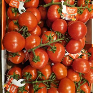 Tasty Tom Tomate