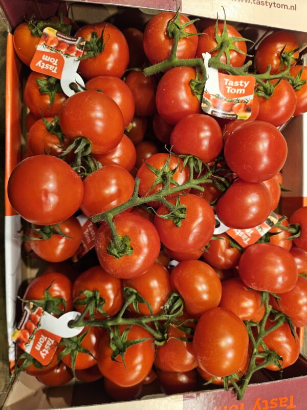 Tasty Tom Tomate