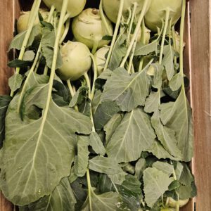 Kohlrabi