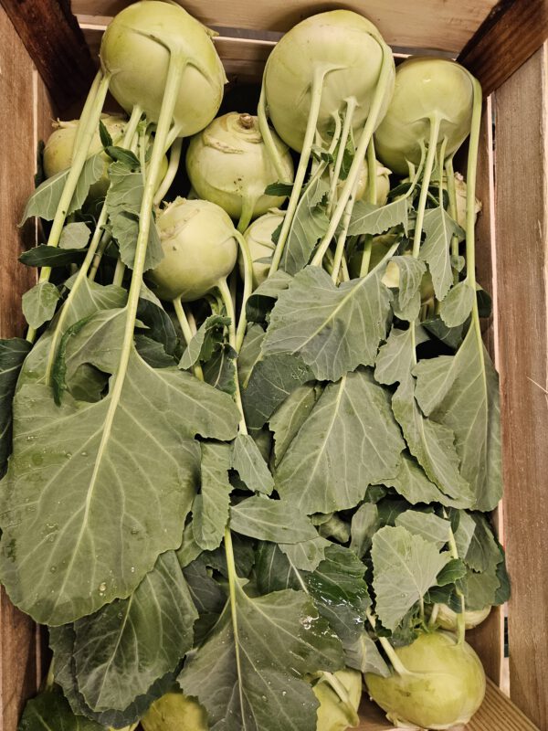 Kohlrabi