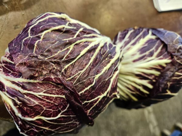 Radicchio Rosso