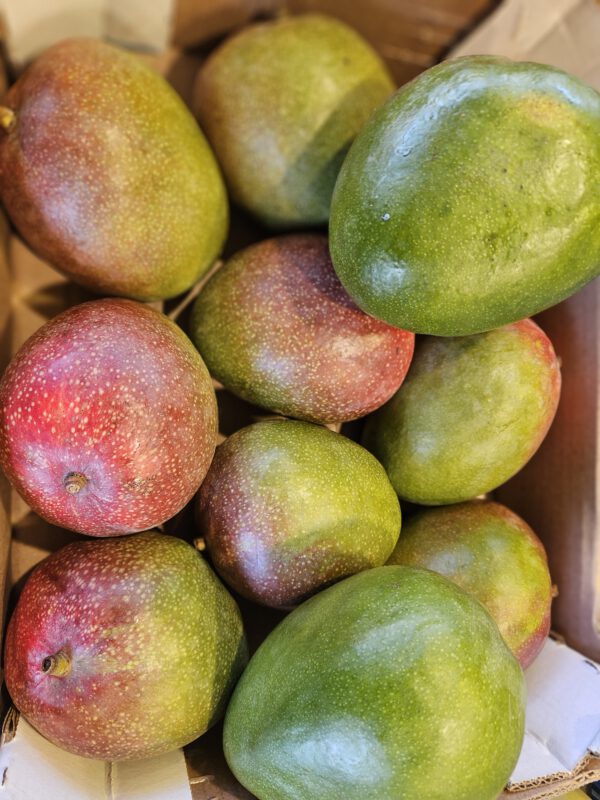 Mango