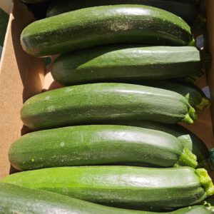 Zucchini grün