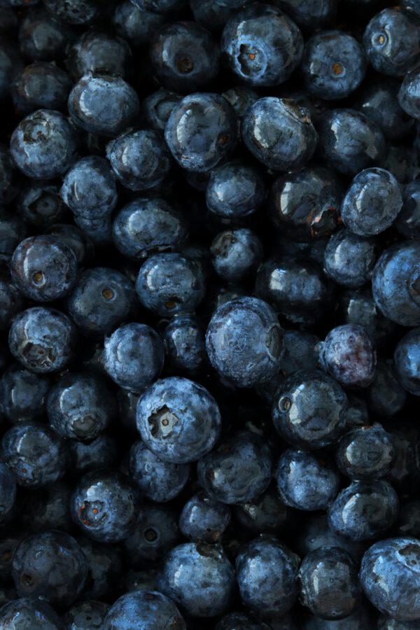 Blaubeere