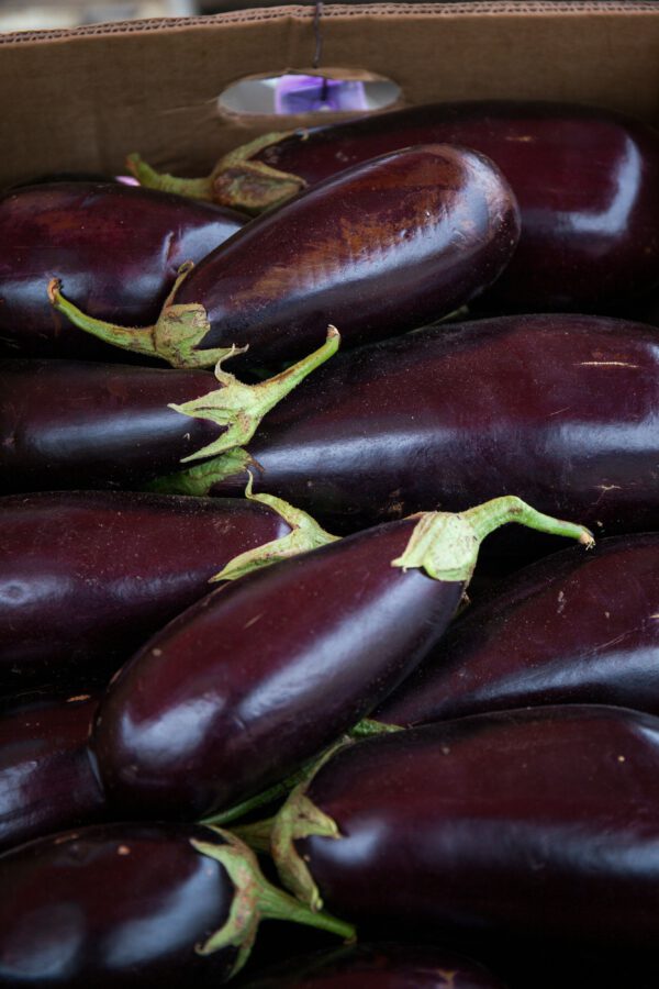 Aubergine