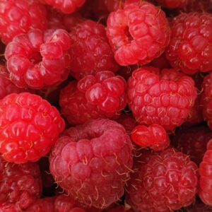 Himbeeren
