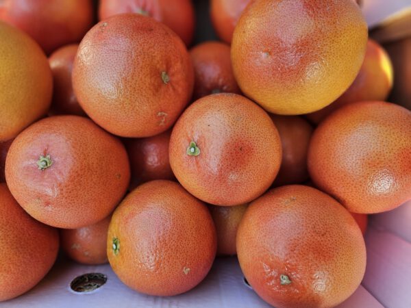 Grapefruit