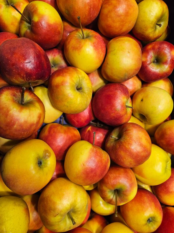 Apfel Elstar