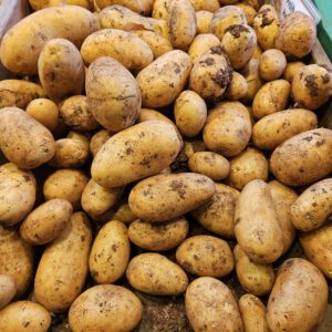 Kartoffeln festkochend aus Zypern