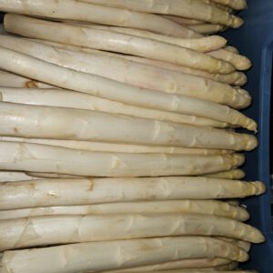 Spargel weiß